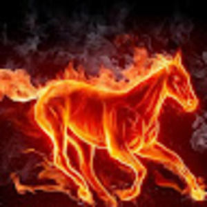 Meet your Posher, Allen